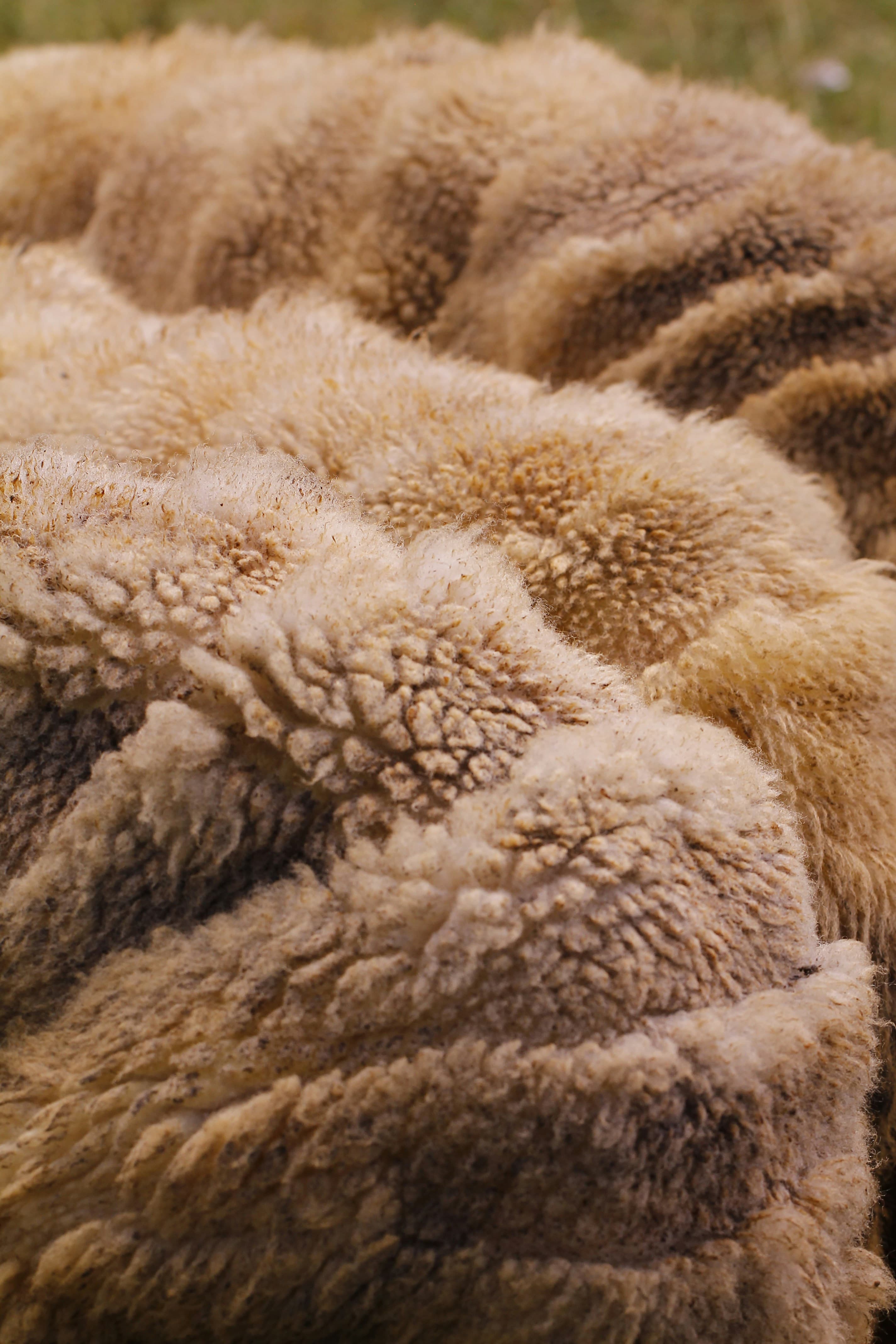 Merino Wool Blend